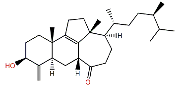 Swinhoeisterol A